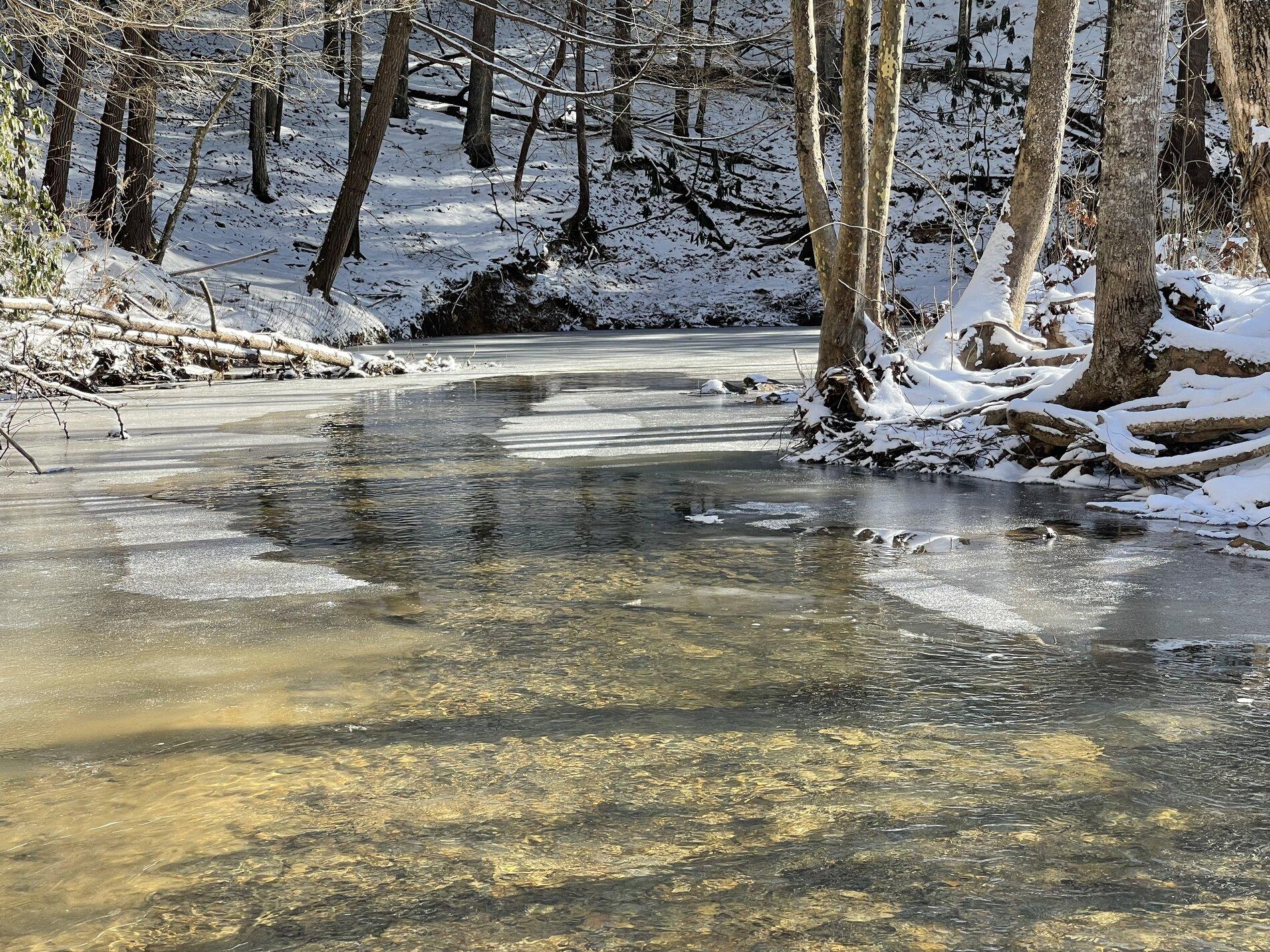 4B9146A5-02D6-41D0-B63B-568F1F8B54E0.jpeg
