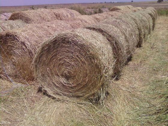 4x5bales071511.jpg
