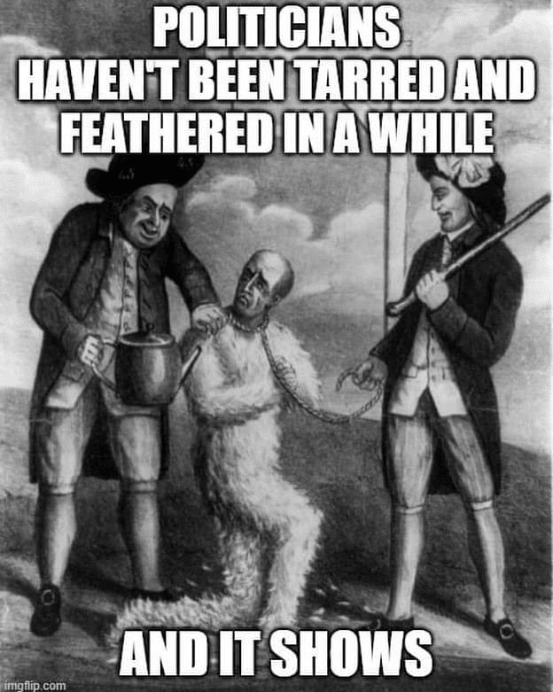 65D8F241-F0B7-4451-997D-E2351C3D141F.png