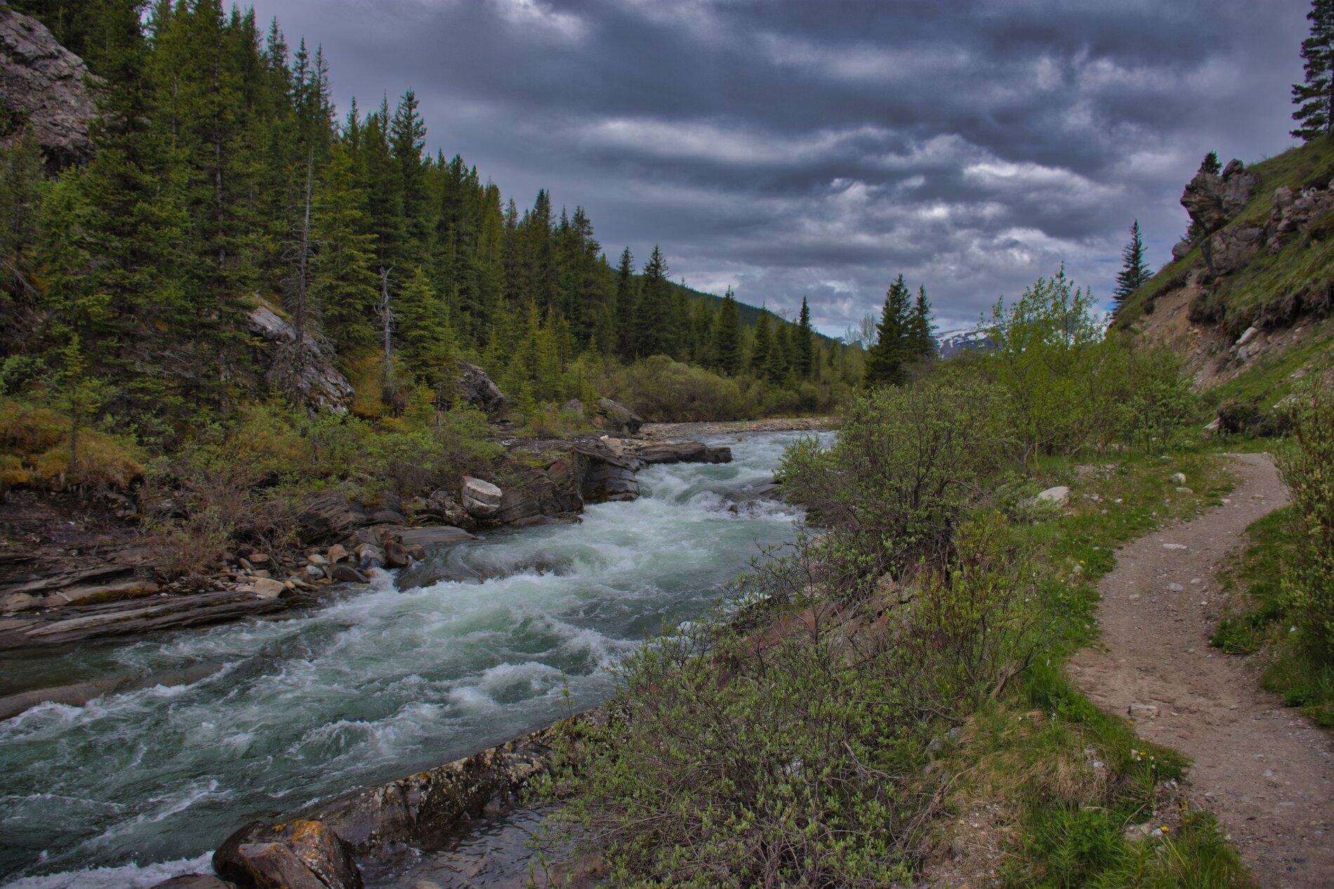_DSC4101.jpg