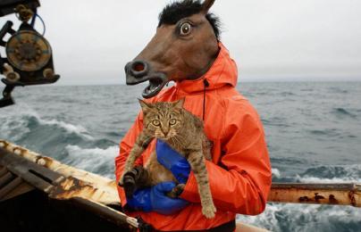 a-horse-holding-cat-on-boat-funny-humor-HD-Wallpaper.jpg