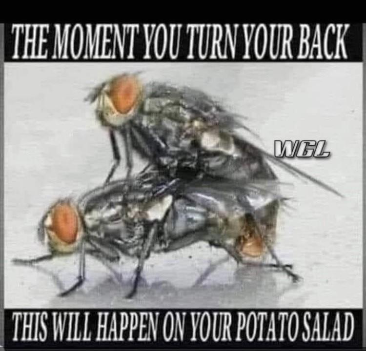 A9108B63-1AC1-4FD1-9DF0-1EDD5E374C64.jpeg
