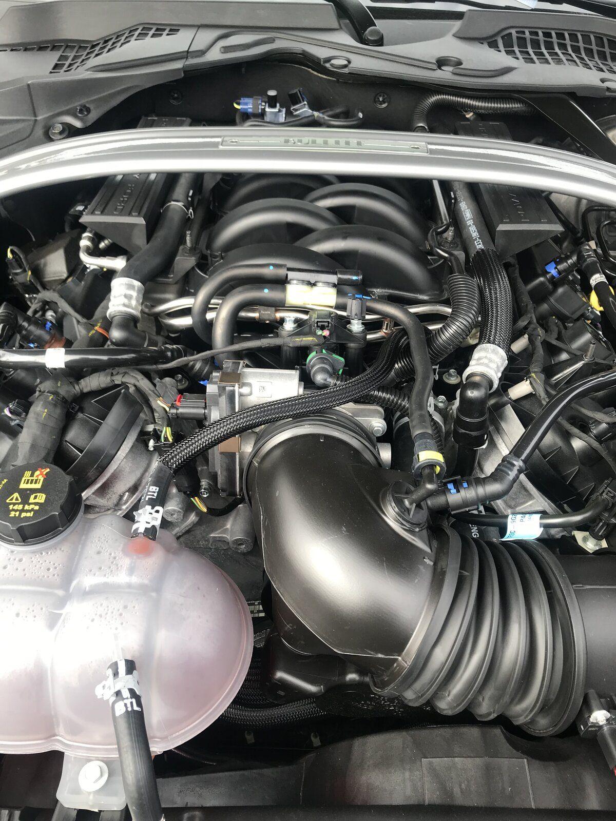 AB368186-73DA-495F-95F0-D7793BCC2E0E.jpeg