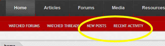 activity.png