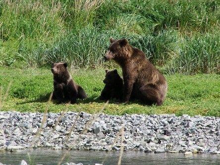 Alaska, 024rs4.jpg