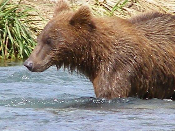 Alaska, 061.jpg