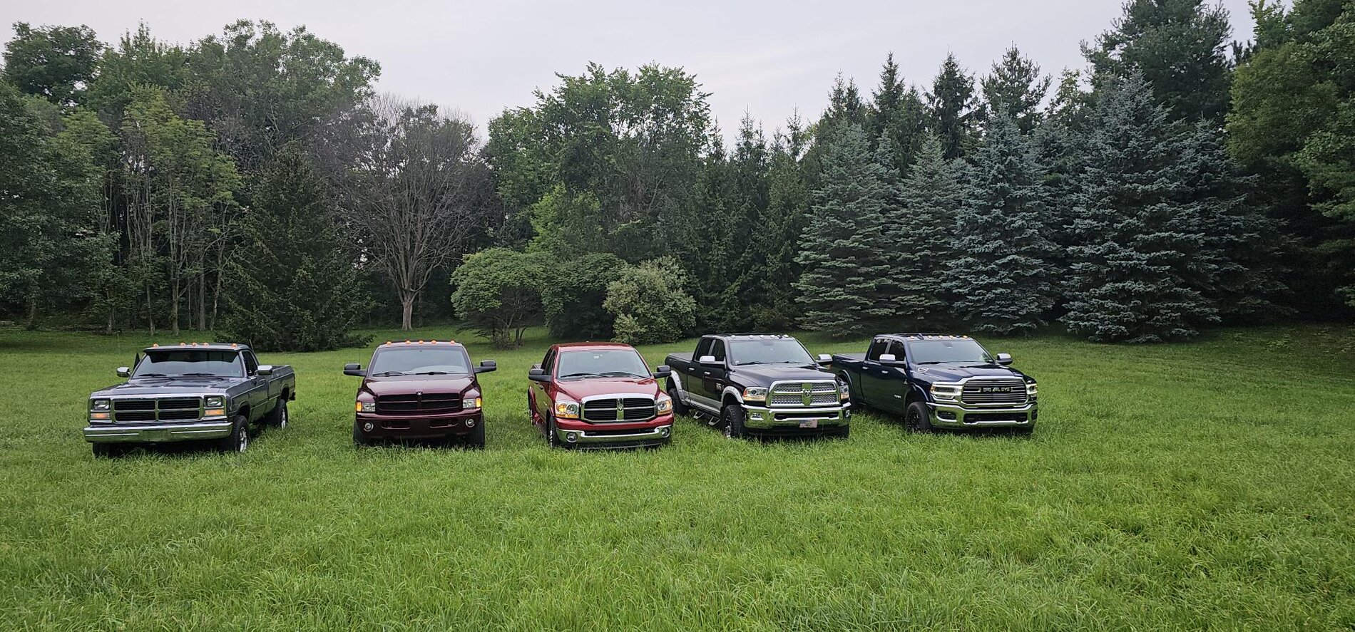 ALL GENS - Mark S. -via email-Robin.jpg