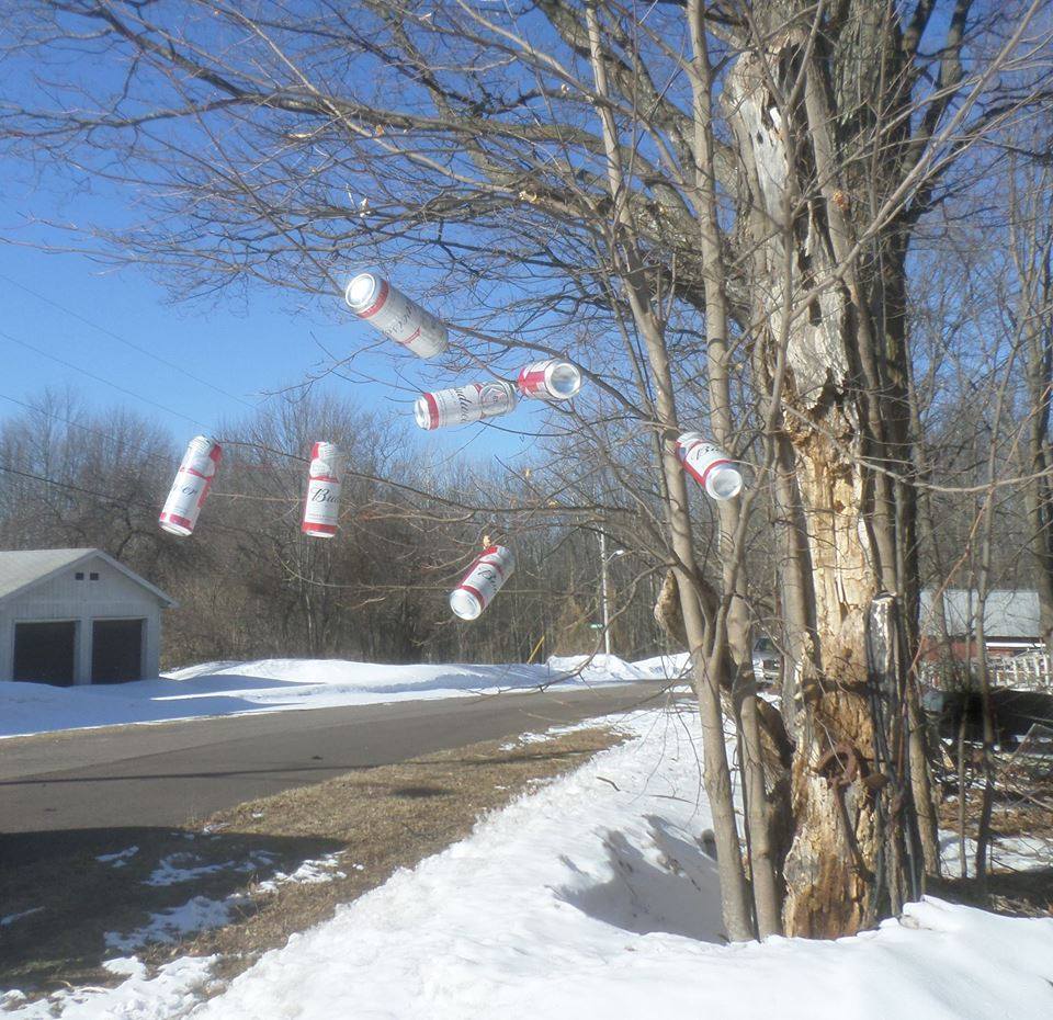 almost spring.jpg