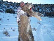 AnthonyMountainLion.jpg