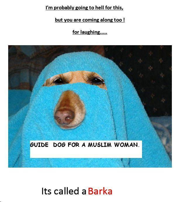 barka.jpg