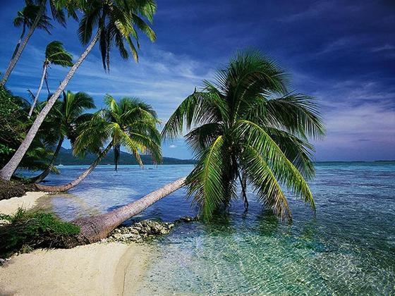 beautiful_tropical_islands_vol_1_189496.jpg