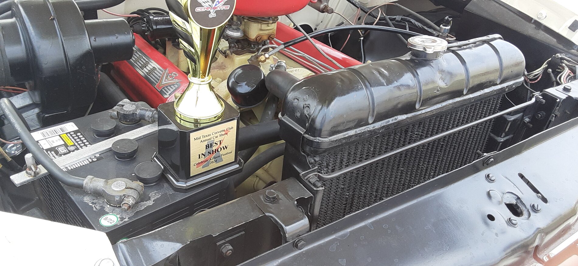 Best of show May 25, 2024.jpg