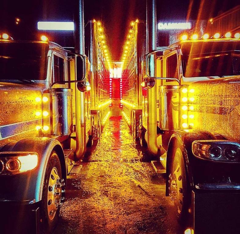 Bull Hauler 2.jpg