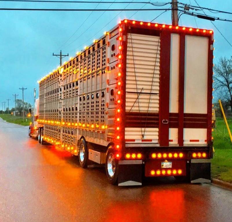 Bull Hauler 3.jpg