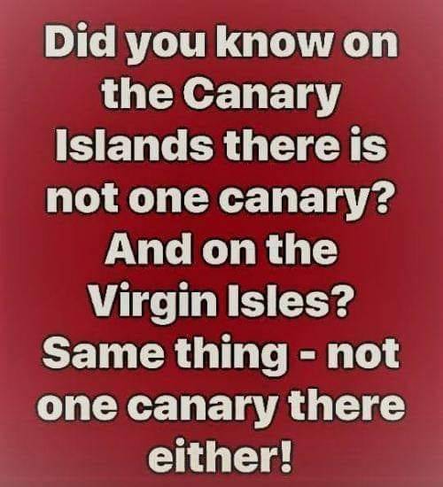 canary island.jpg