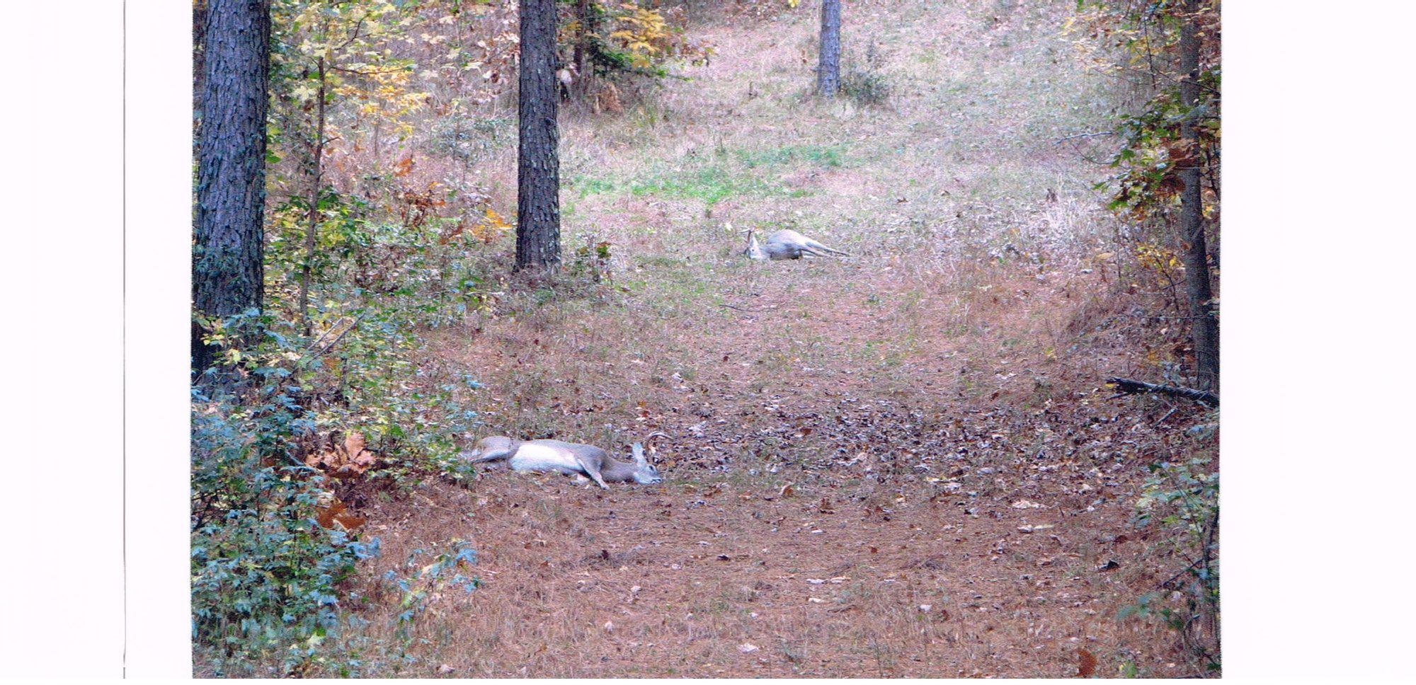 CCF01272015_0018.jpg