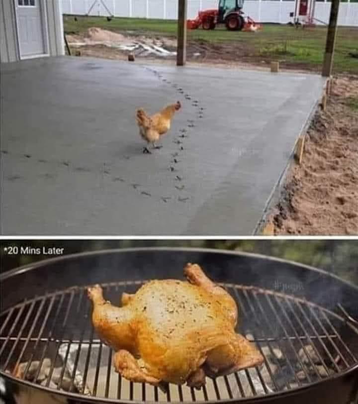chicken-cement.jpg