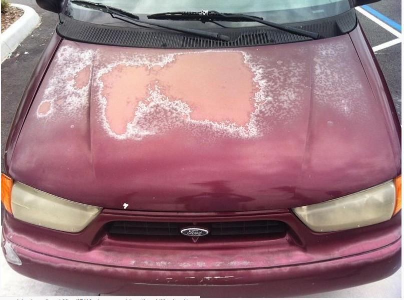 clear coat failure.jpg