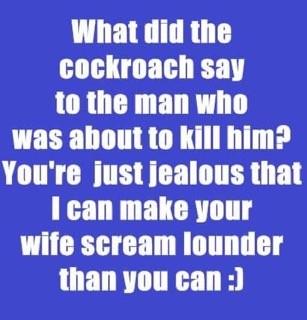 cockroach.jpg
