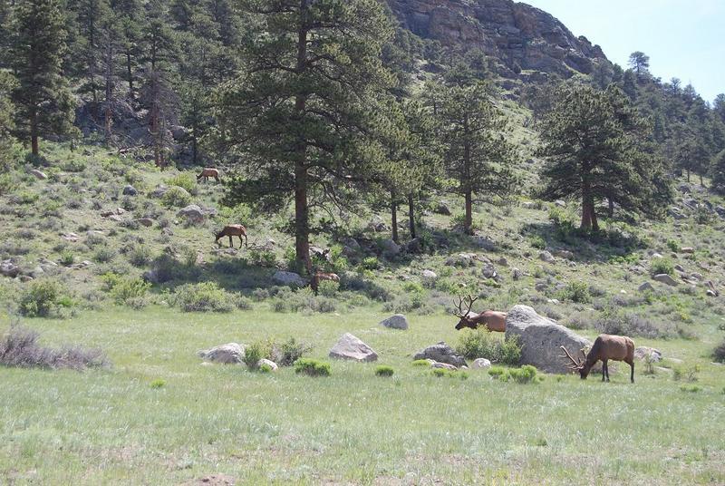 Colorado 152.jpg