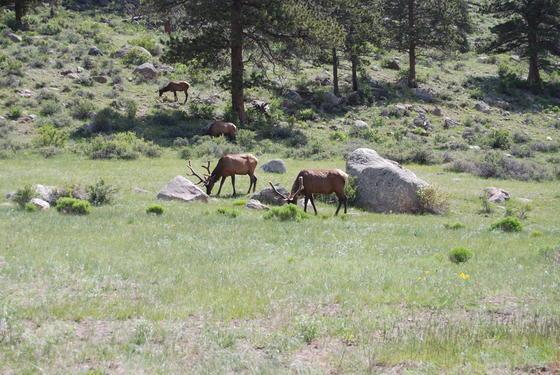 Colorado 153.jpg