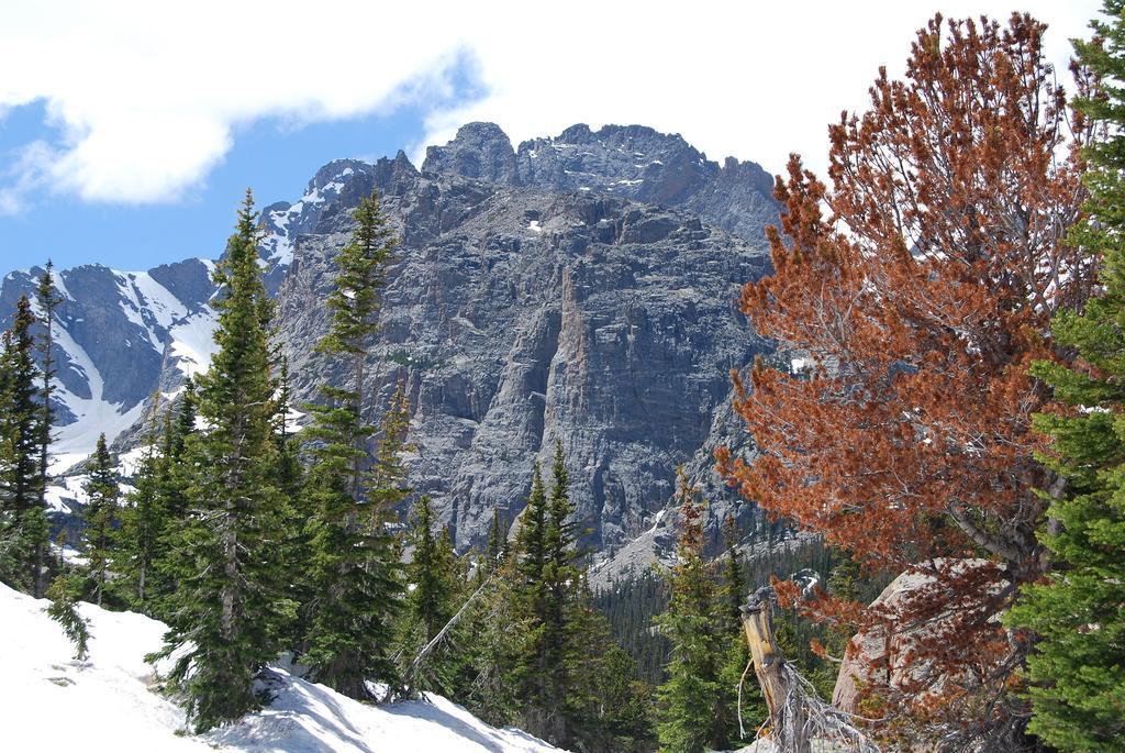 Colorado 275.jpg