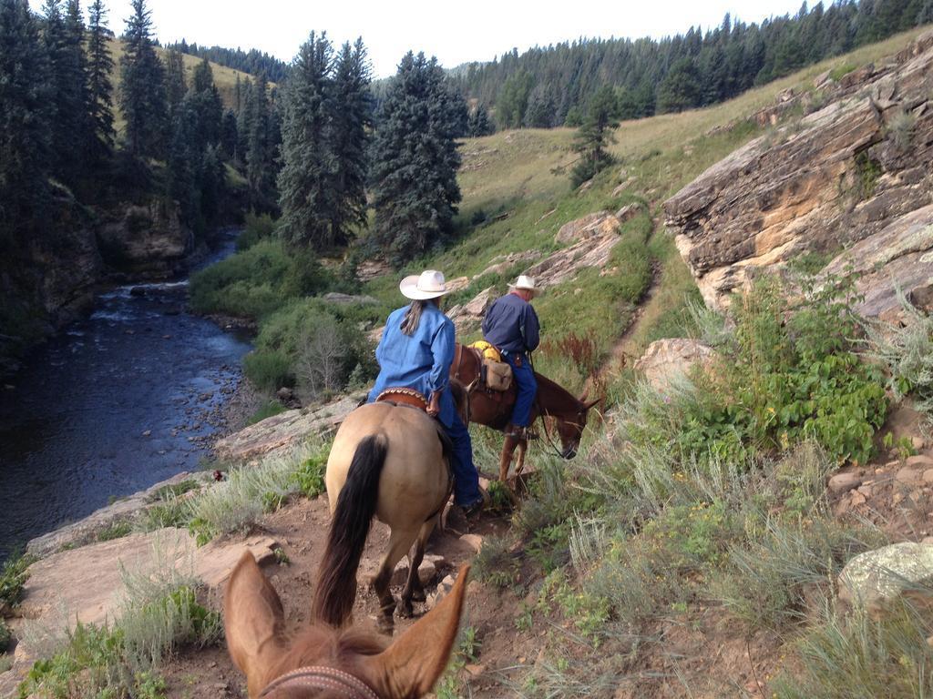 Colorado Horse Ride & New Ram 036.jpg