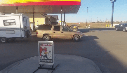 ColossalHardtofindGuineafowl-size_restricted.gif