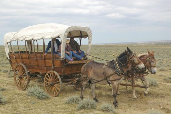 Covered wagon and mules.jpg