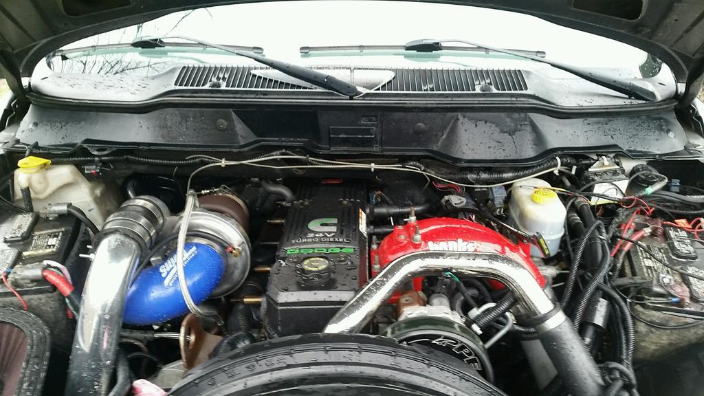cummins.jpg