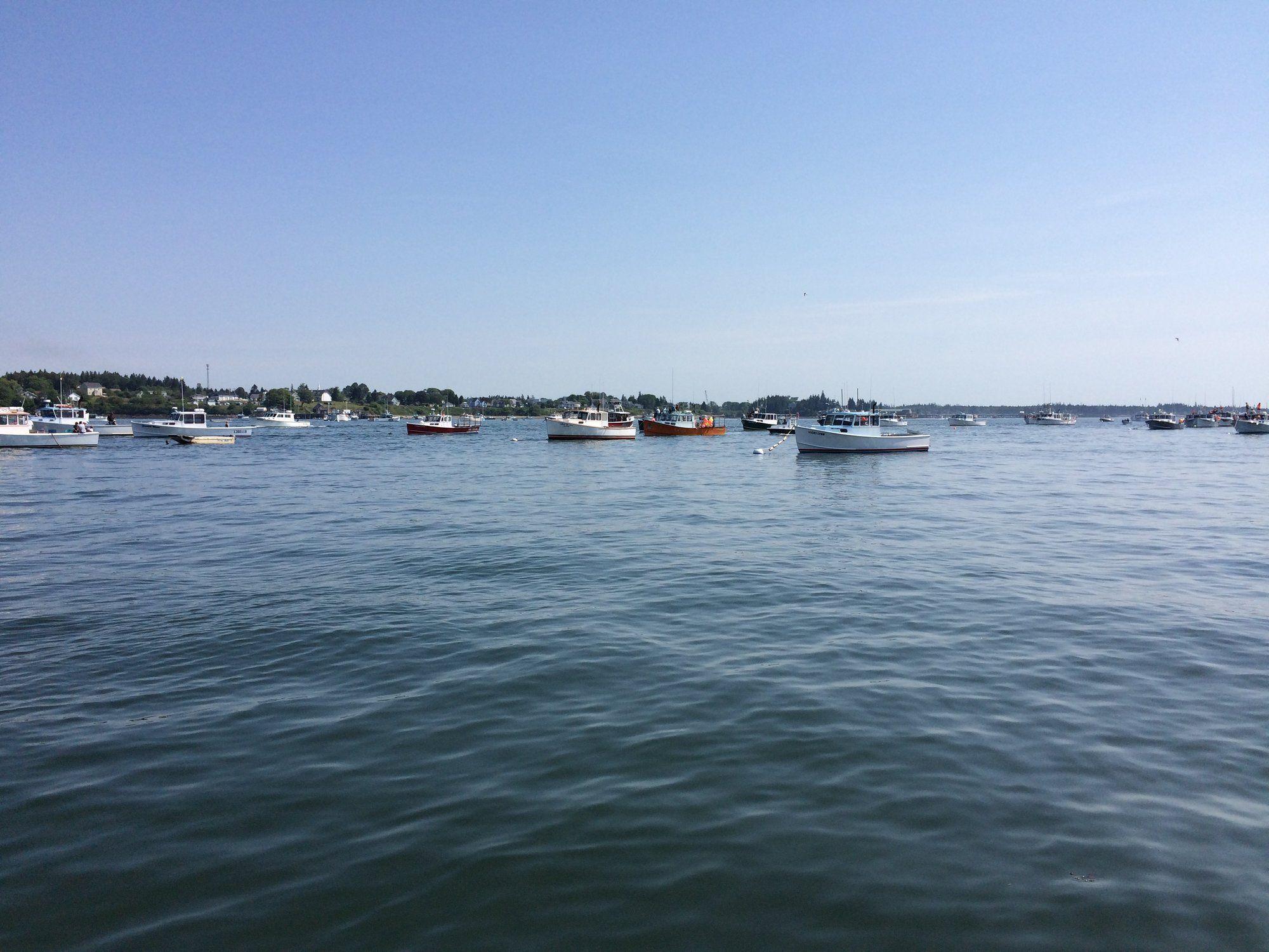 D9C1B0B4-530D-4606-83C4-3020541144A7.jpeg