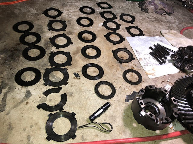 dana 4.jpg