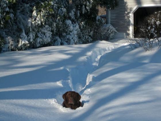 deep snow.jpg
