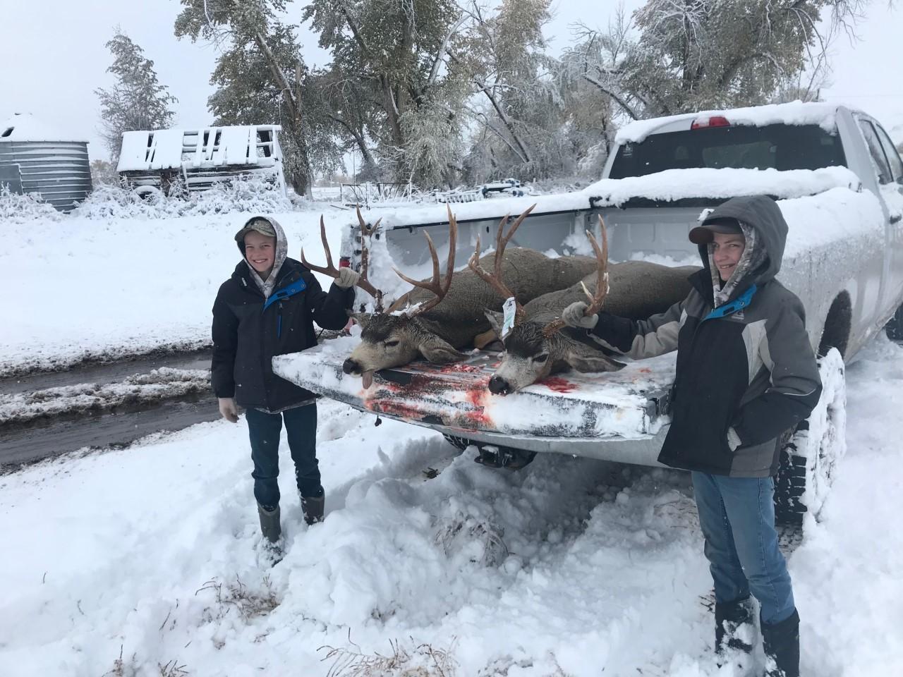 deer.jpg