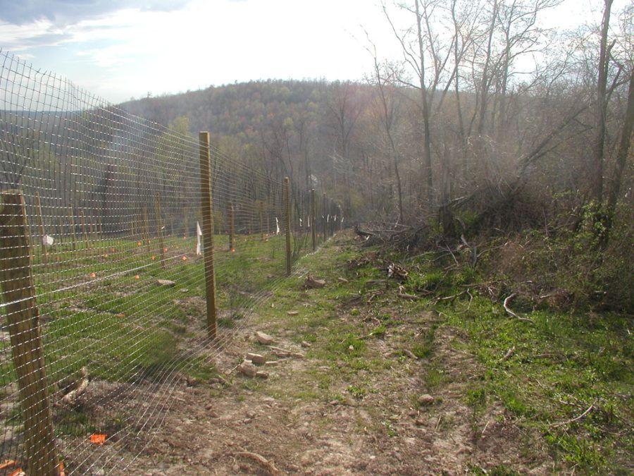 deerfence-1.jpg