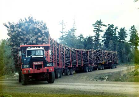 dm800.jpg