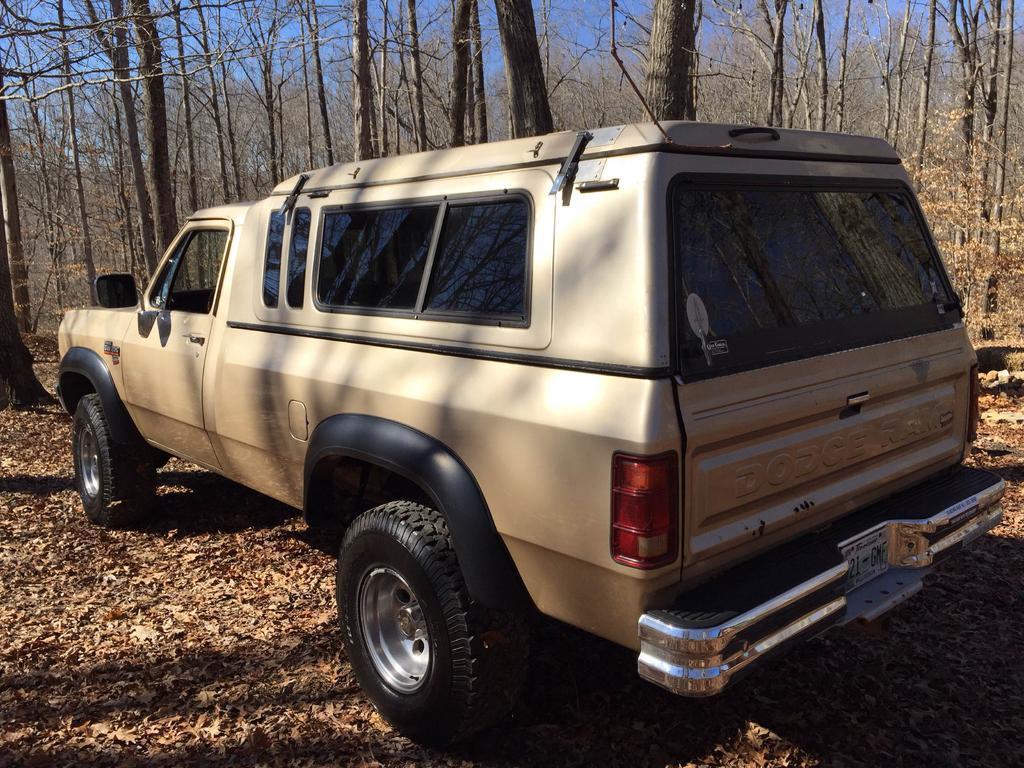Dodge DS Quarter.jpg