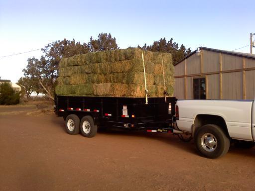 downsized_1114020814.jpg