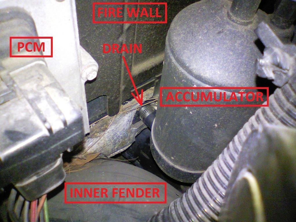 drain1.jpg
