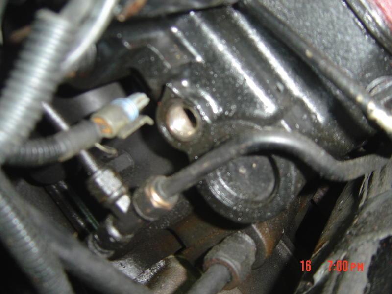 DSC00002.jpg