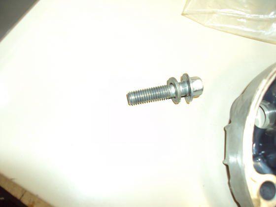 DSC00228.jpg