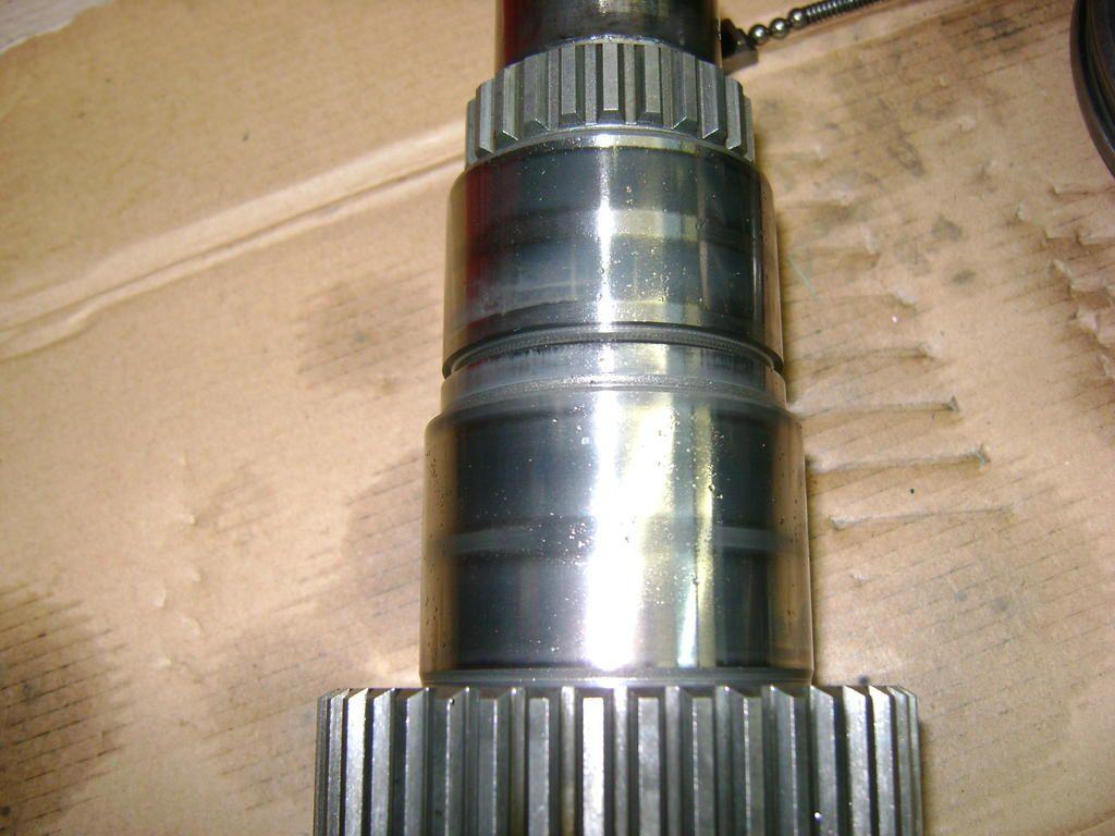DSC01990.jpg