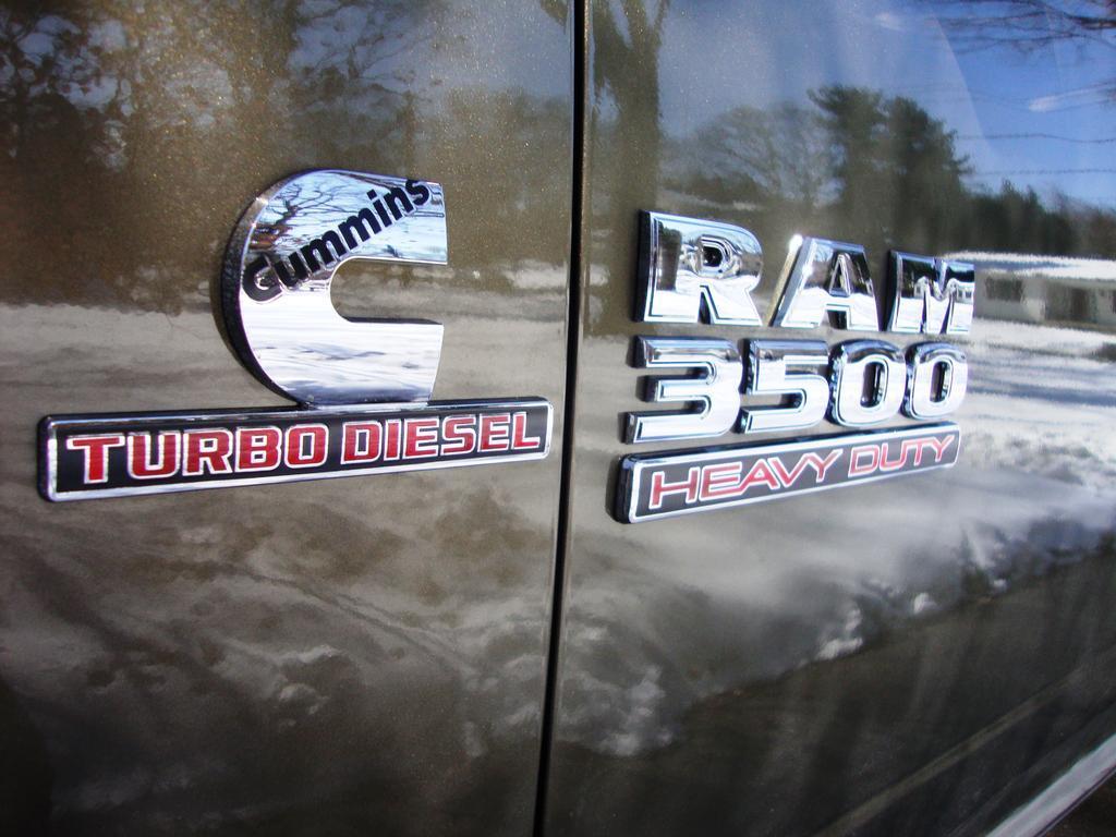DSC04894.jpg