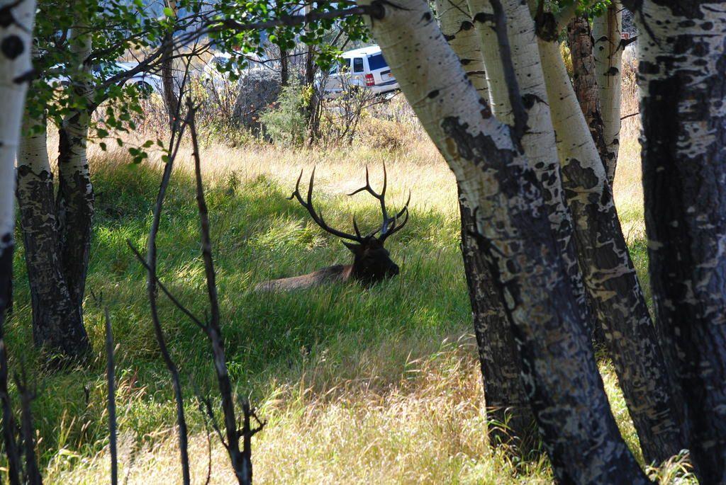 DSC_0037.jpg
