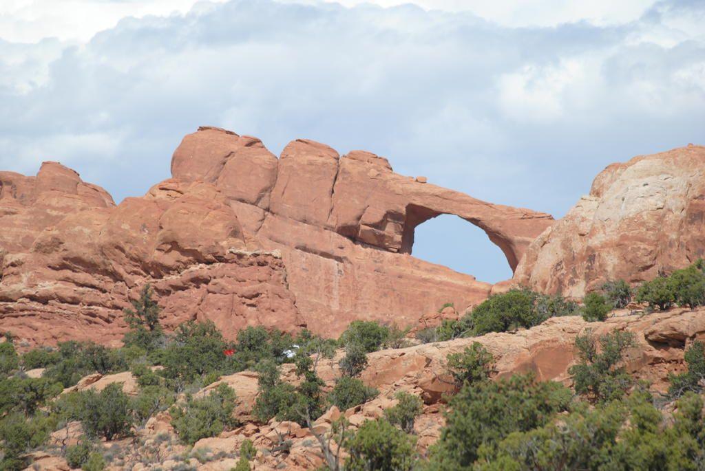 DSC_0124.jpg