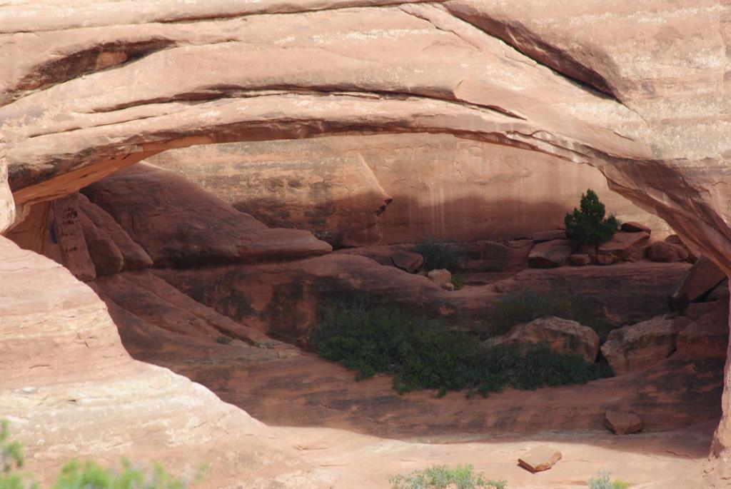 DSC_0136.jpg