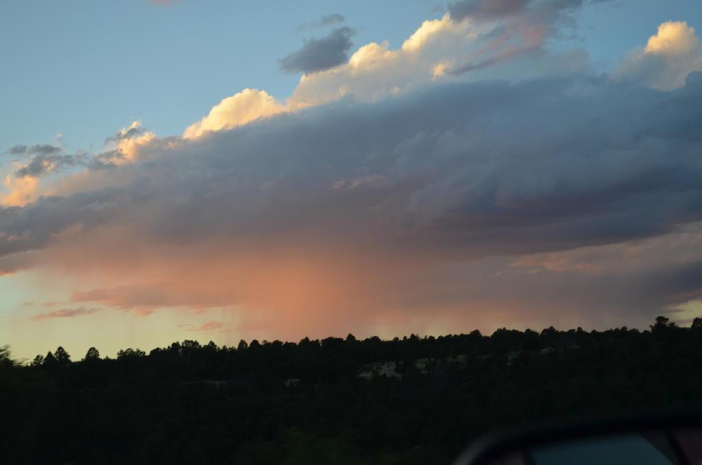 DSC_0169.jpg