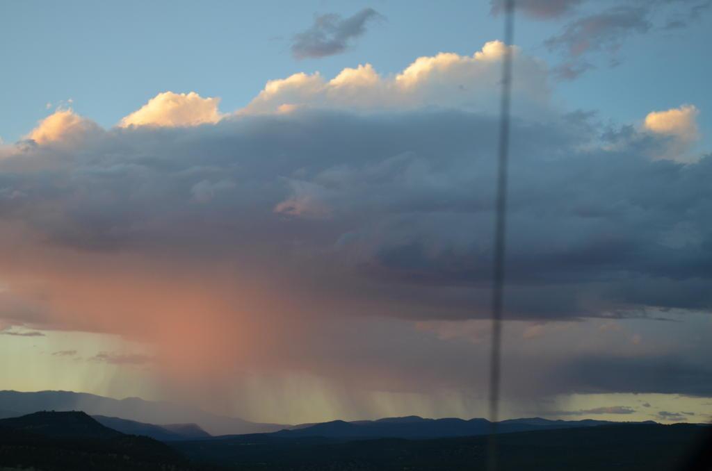 DSC_0170.jpg