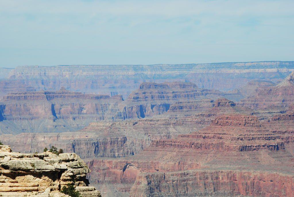 DSC_0222.jpg