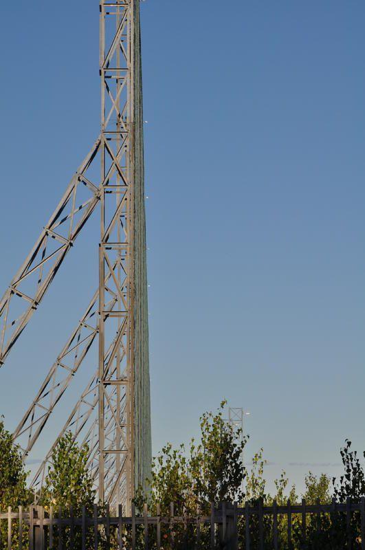 DSC_0311.jpg